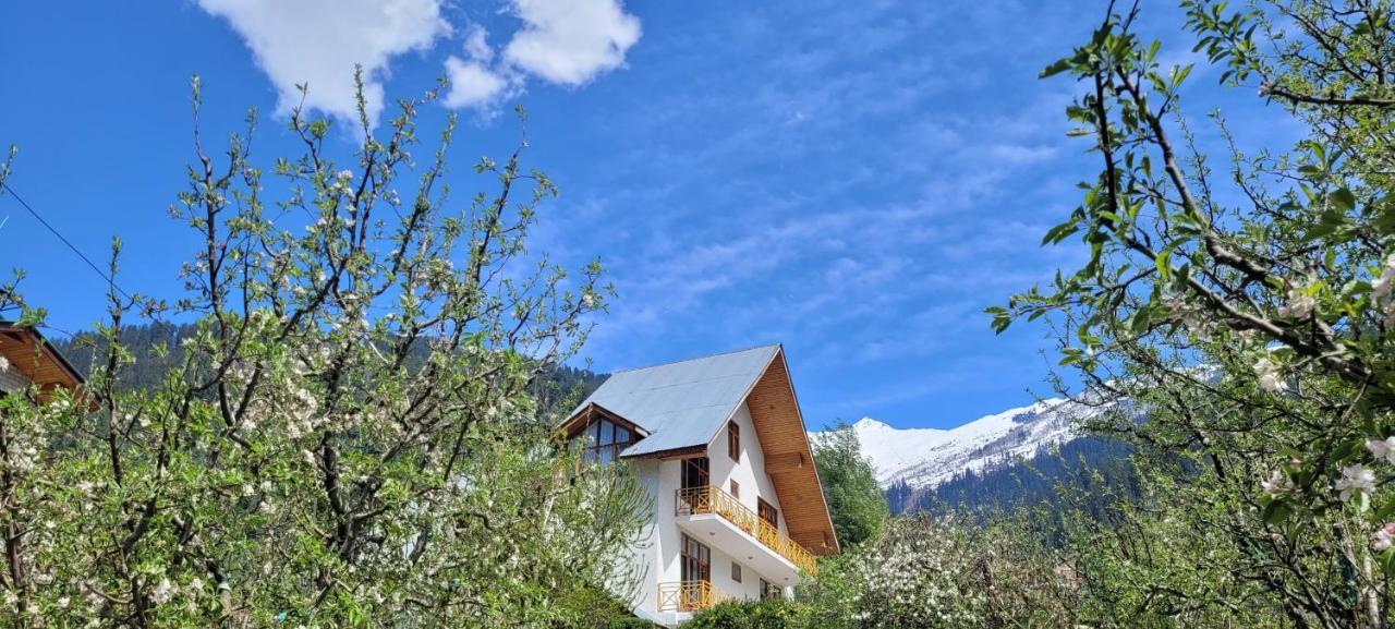The Wooden Chalet, Manali Экстерьер фото